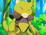 EP516 Abra de Maiza