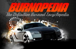 Burnopedia logo cropped