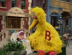 BigBirdNatasha.jpg