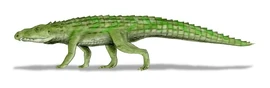 Riojasuchus BW
