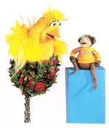 Birdinatree