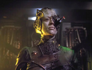 Sette-borg