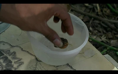 Rousseau'sMapExtremeNorth1x13
