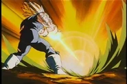 Finalflash
