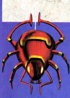 NP C3 Spider