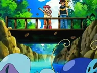 EP497 Paige repartiendo las galletas