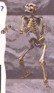 NP C4 Skeleton