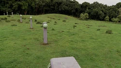Sonic fence