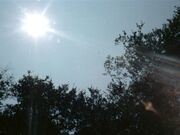 892 sun