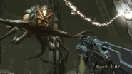 Daedalus