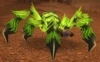 Deepmoss Venomspitter
