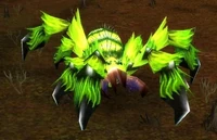 Deepmoss Webspinner