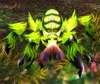 Webwood Lurker