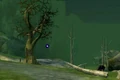 Loping Plains.jpg