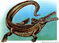Mesosaurus BW.jpg
