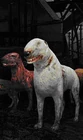 http://stalker.wikia