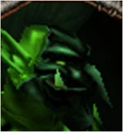 Trollbosqueberserker