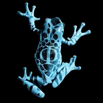 600px-FrogGlyph