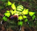 Webwood Spider.jpg