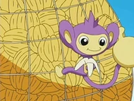 EP491 Aipom comiendo un plátano