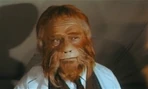 Screen Test4