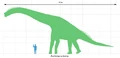 Brachiosaurus scale.png