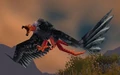 Mesa Buzzard.jpg
