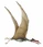 Quetzalcoatlus.jpg
