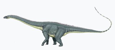 Diplodocus carng1DB