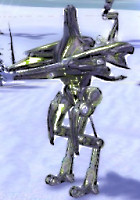 Seraphim SACU