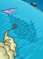 Whalebook