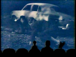 Mst307