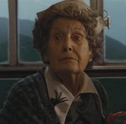 Food Trolley Lady