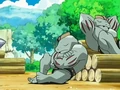 EP526 Machoke descansando.png