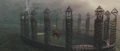 Quidditch pitch 1.jpg
