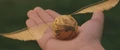 Snitch 2.jpg