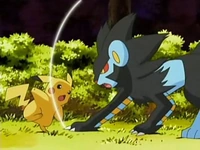 EP528 Luxray atacando a Pikachu