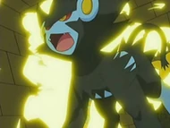 EP528 Luxray usando rayo carga