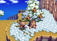 A player and a Money Tree