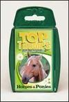 Horsesponies1.jpg