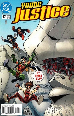 Cover for Young Justice #17