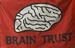 Brain Trust Flag