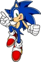 Sonic pose 79