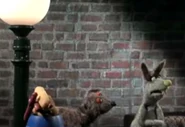Animalconfessions