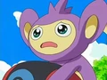 EP491 Aipom contemplando los plátanos.png