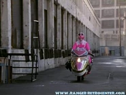 PinkVectorCycle