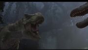 DVDPlay 2009-04-24 19-59-06-13