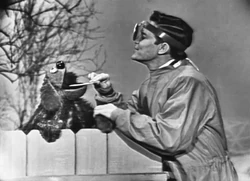 Rowlf flu.JPG