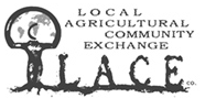 LACE-Small