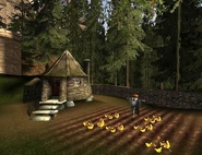 Hagrid's hut 03